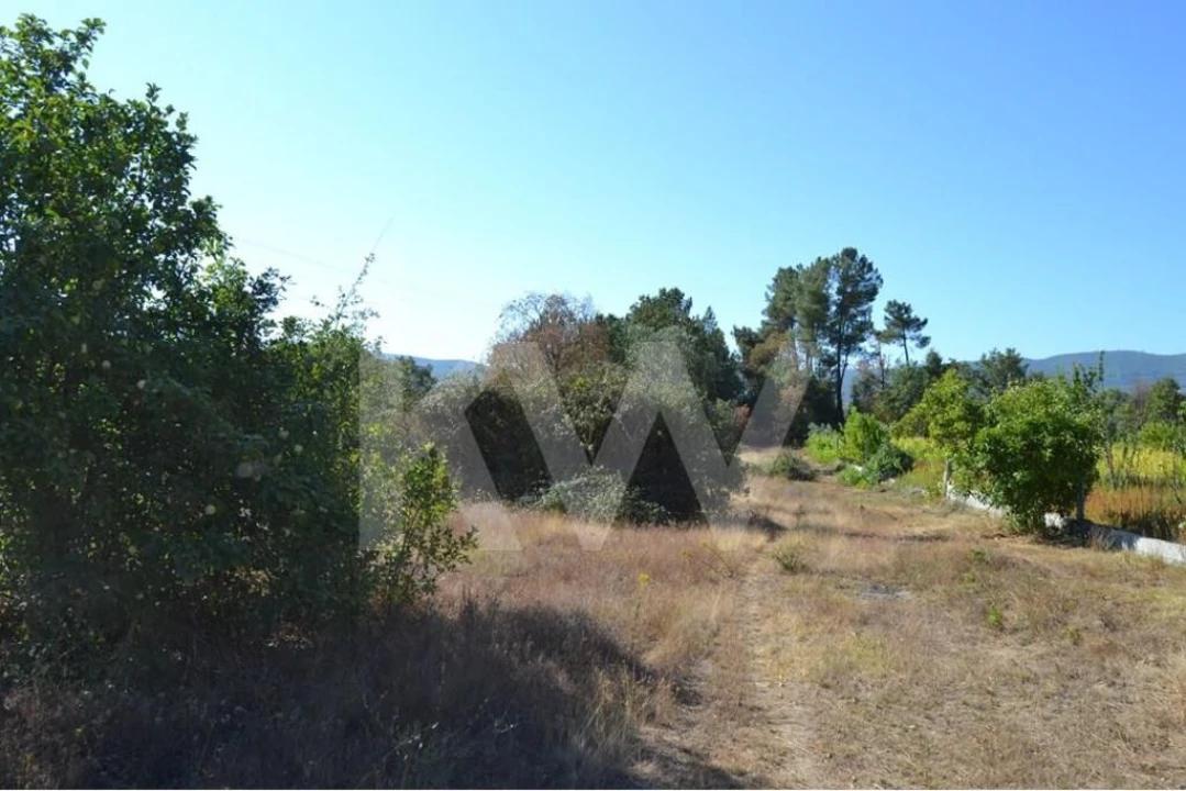 Terreno para Venda em Três Povos Foto 19