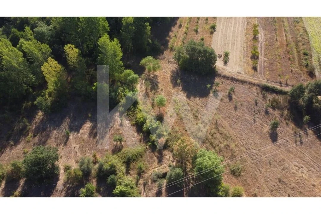 Terreno para Venda em Três Povos Foto 39