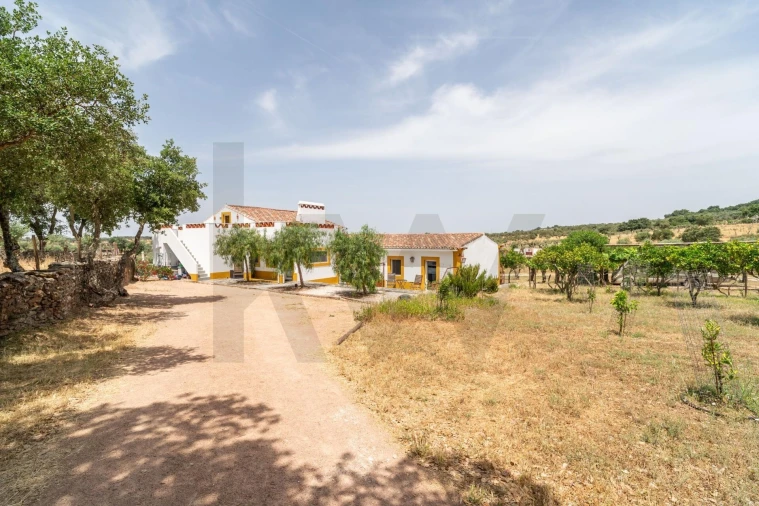 Quinta T7 para Venda em Nossa Senhora da Conceição, São Brás dos Matos, Juromenha Foto 4