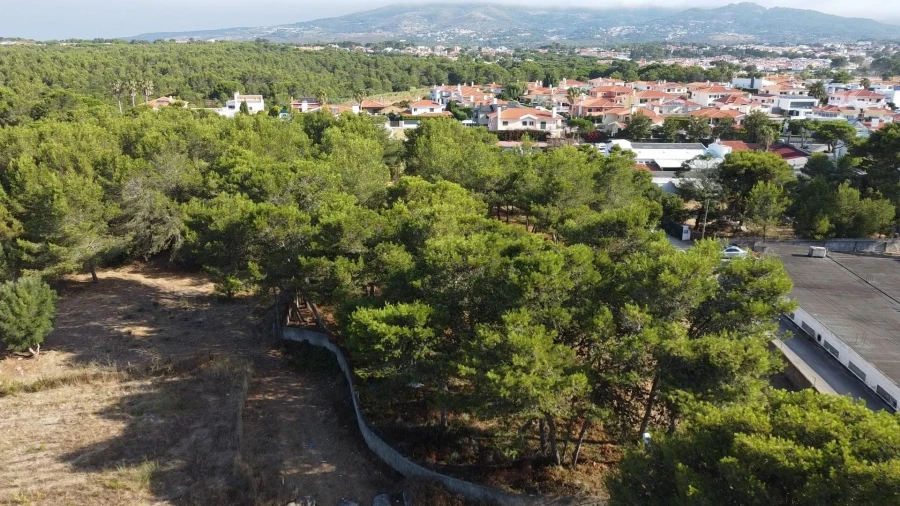 Terreno para Venda em Cascais e Estoril Foto 1