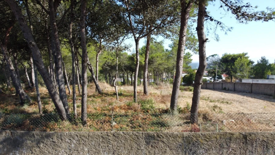 Terreno para Venda em Cascais e Estoril Foto 5