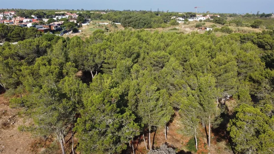 Terreno para Venda em Cascais e Estoril Foto 9
