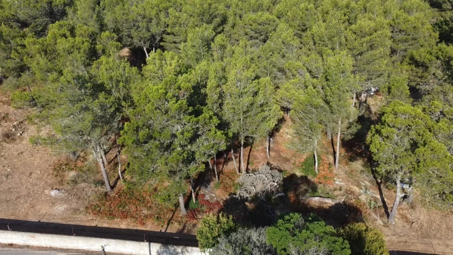Terreno para Venda em Cascais e Estoril Foto 8