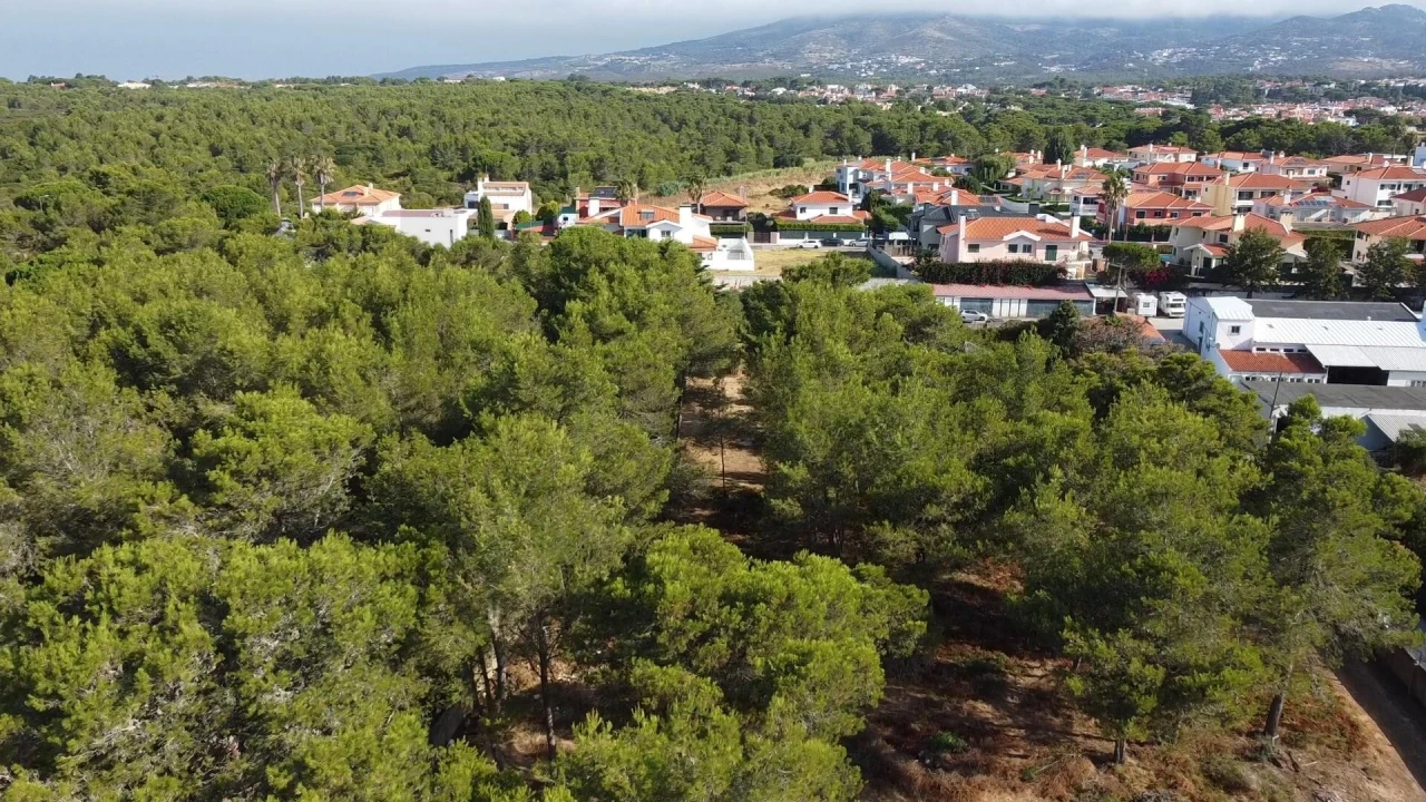 Terreno para Venda em Cascais e Estoril Foto 10