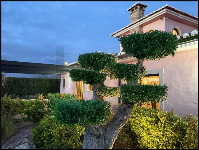 Moradia T3 para Venda em Alcantarilha e Pêra Foto 2