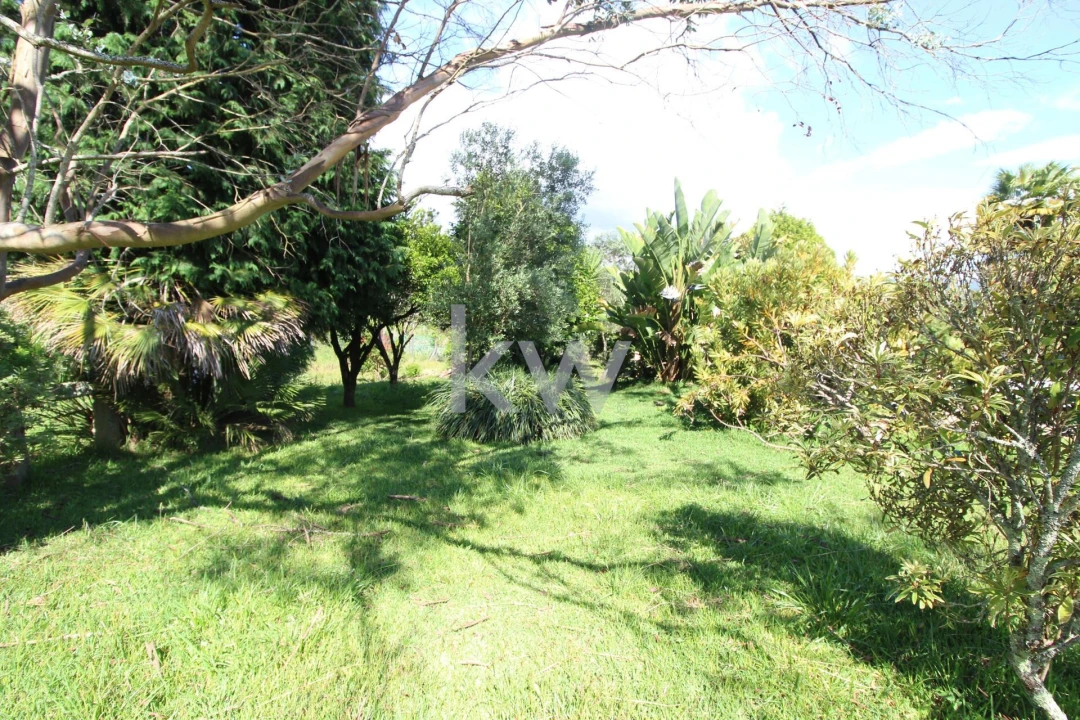 Quinta T3 para Venda em Santa Comba Foto 16