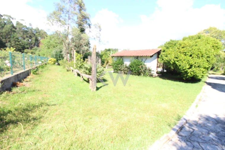 Quinta T3 para Venda em Santa Comba Foto 8