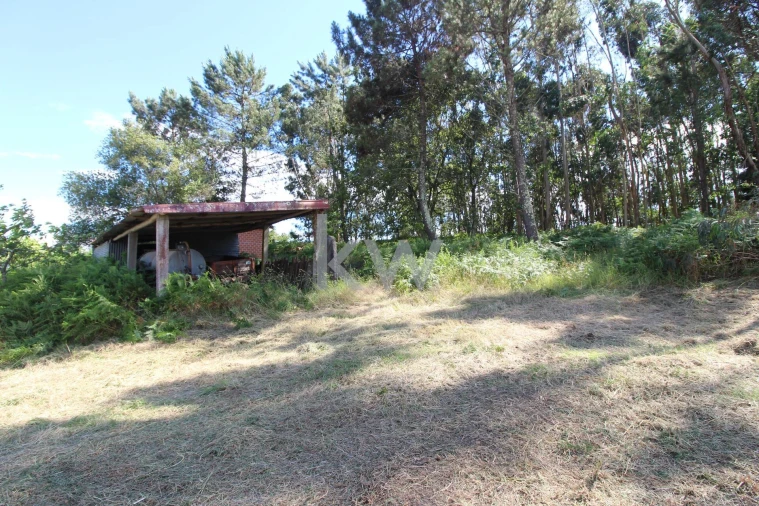 Quinta T3 para Venda em Santa Comba Foto 12