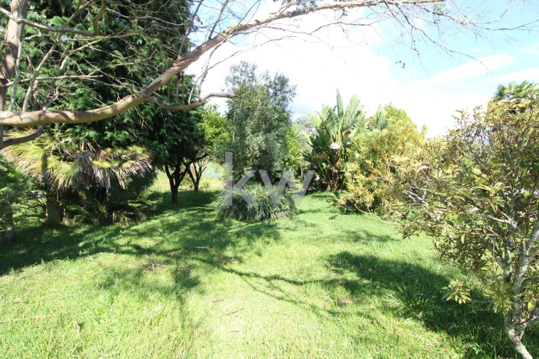 Quinta T3 para Venda em Santa Comba Foto 16