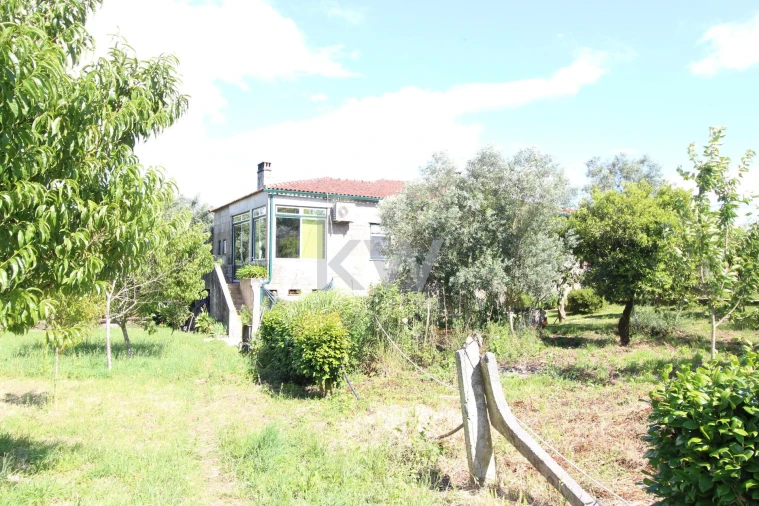 Quinta T3 para Venda em Santa Comba Foto 18