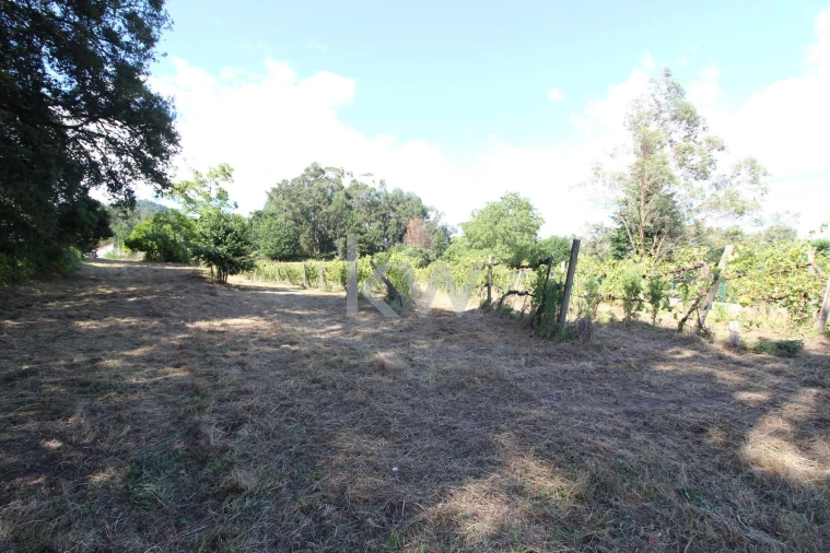 Quinta T3 para Venda em Santa Comba Foto 11