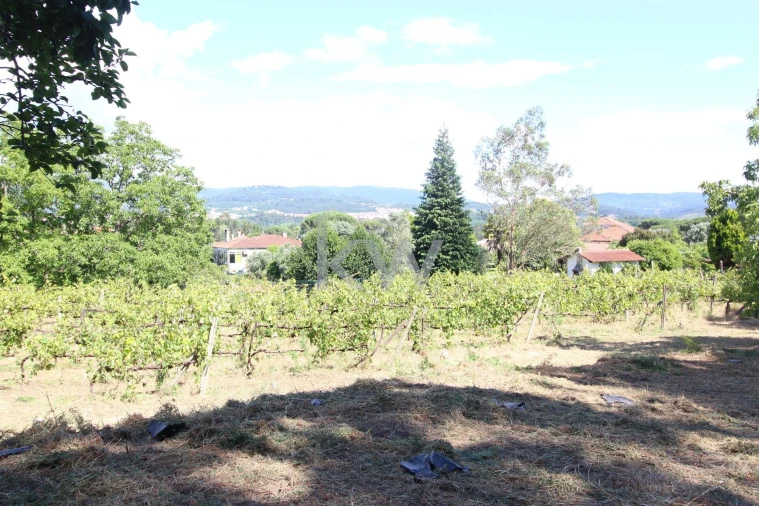 Quinta T3 para Venda em Santa Comba Foto 13