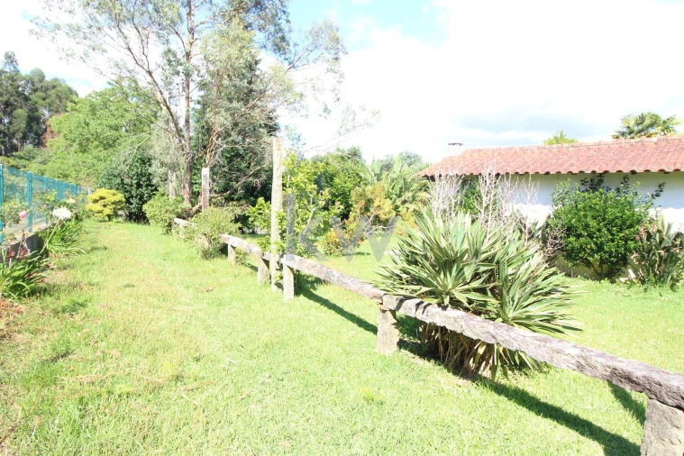 Quinta T3 para Venda em Santa Comba Foto 14