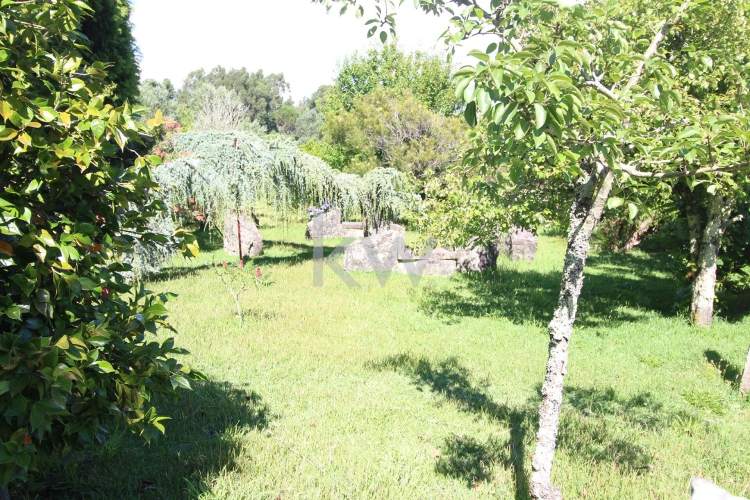 Quinta T3 para Venda em Santa Comba Foto 6