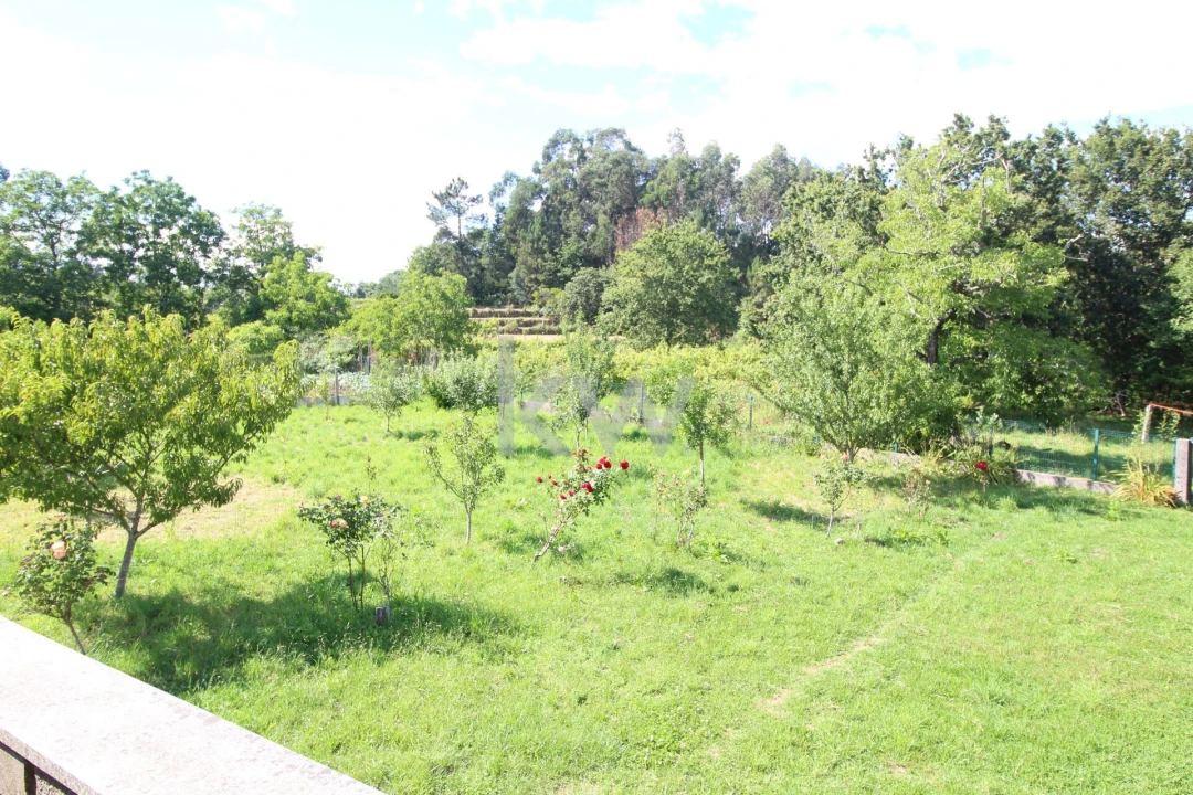 Quinta T3 para Venda em Santa Comba Foto 20