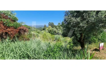 Terreno para Venda em Eiras e São Paulo de Frades