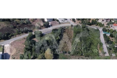 Terreno para Venda em Eiras e São Paulo de Frades