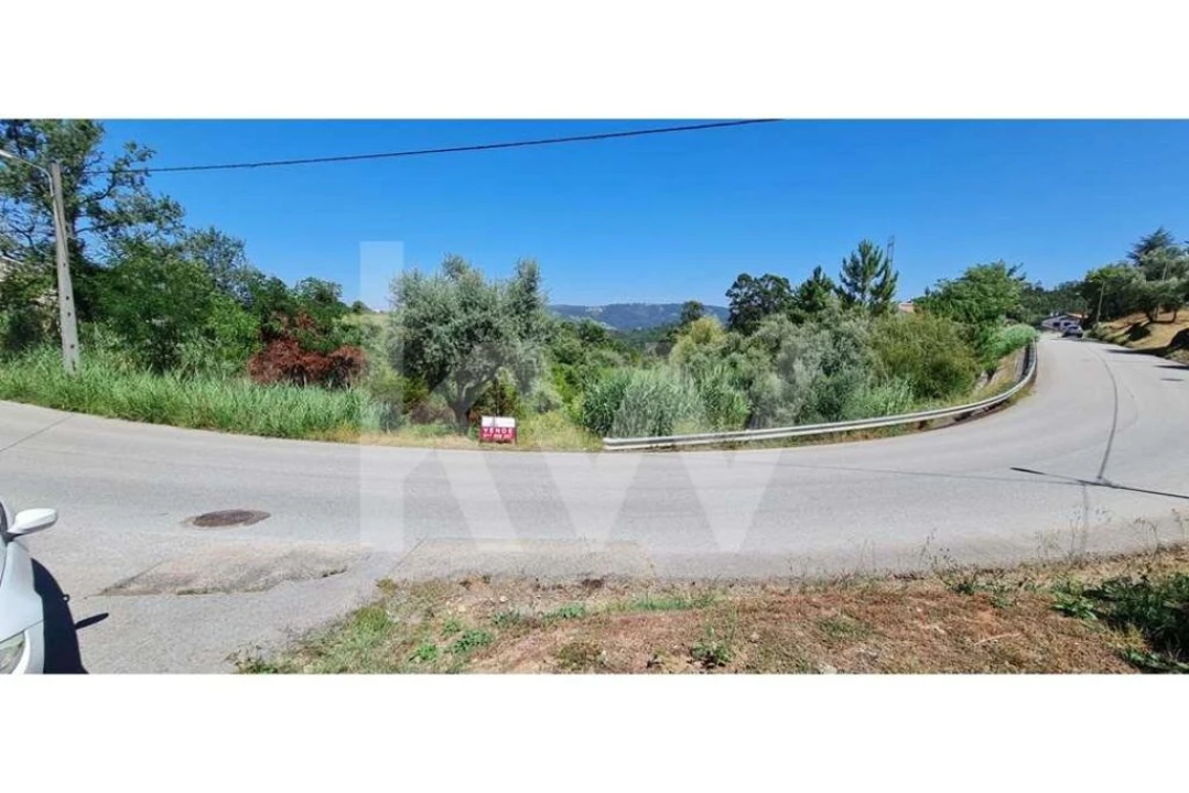 Terreno para Venda em Eiras e São Paulo de Frades Foto 8