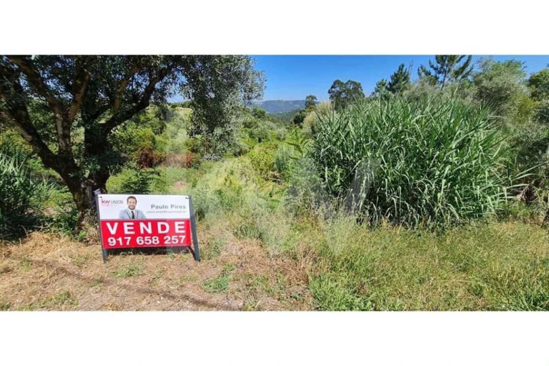 Terreno para Venda em Eiras e São Paulo de Frades Foto 2