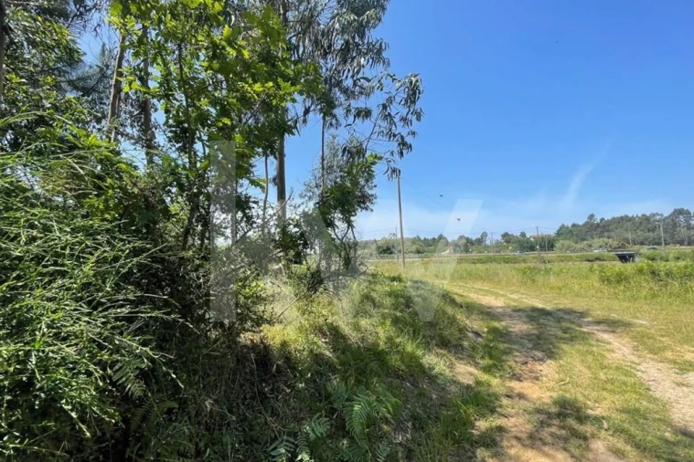 Terreno para Venda em Ovar, São João, Arada e São Vicente de Pereira Jusã Foto 1