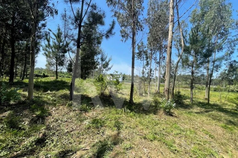 Terreno para Venda em Ovar, São João, Arada e São Vicente de Pereira Jusã Foto 4