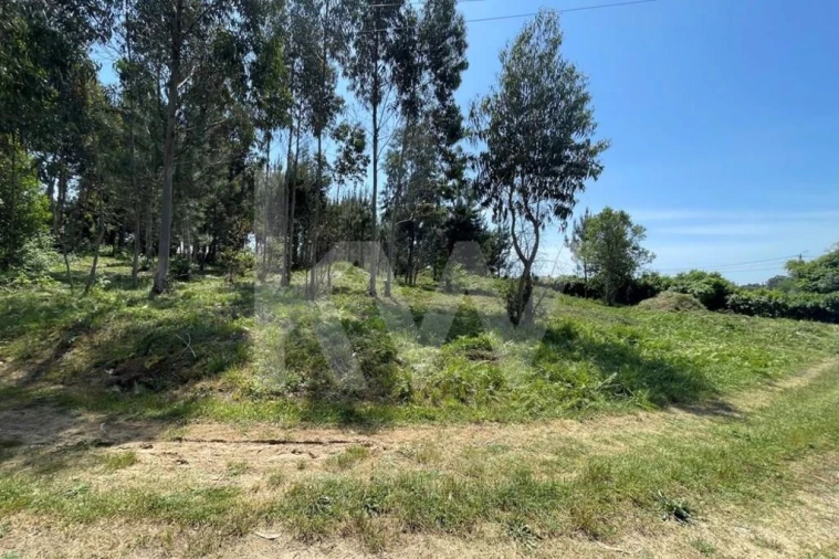 Terreno para Venda em Ovar, São João, Arada e São Vicente de Pereira Jusã Foto 3
