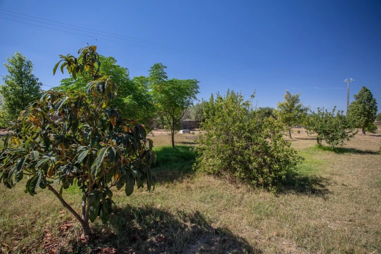 Moradia T3 para Venda em São Marcos da Ataboeira Foto 14