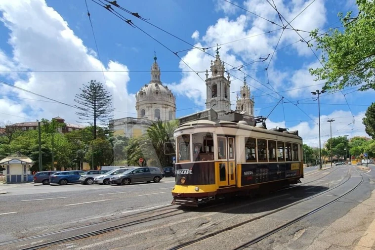Apartamento T4 para Arrendamento em Campo de Ourique Foto 30