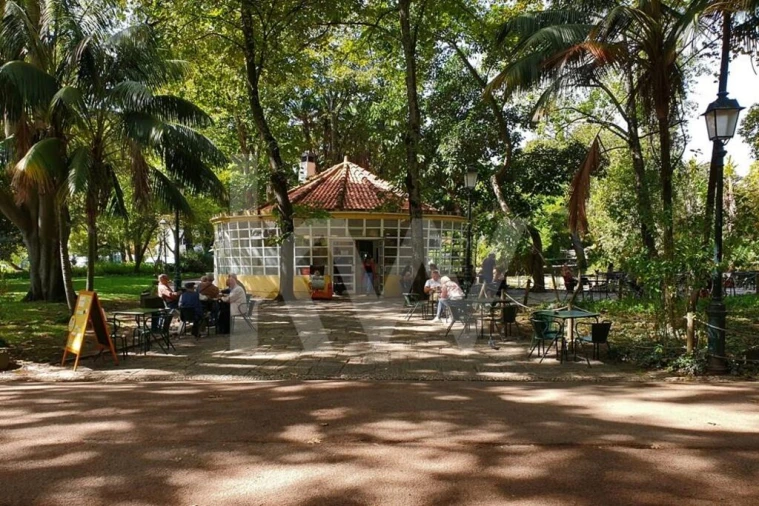 Apartamento T4 para Arrendamento em Campo de Ourique Foto 3