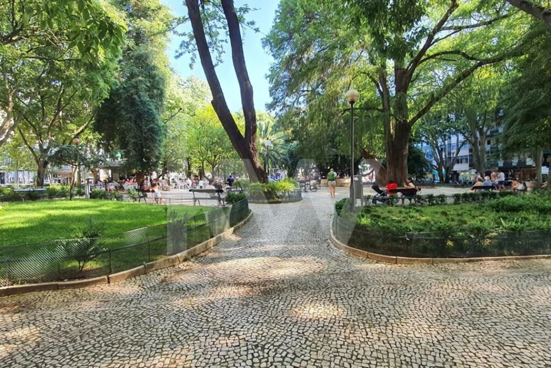 Apartamento T4 para Arrendamento em Campo de Ourique Foto 31