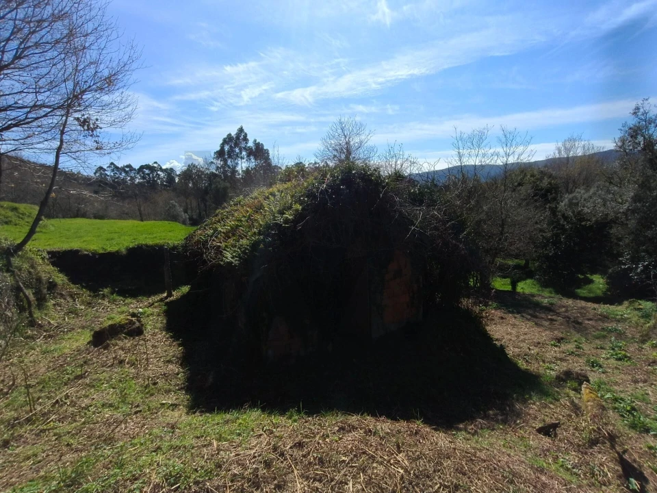 Quinta T3 para Venda em Covas Foto 29