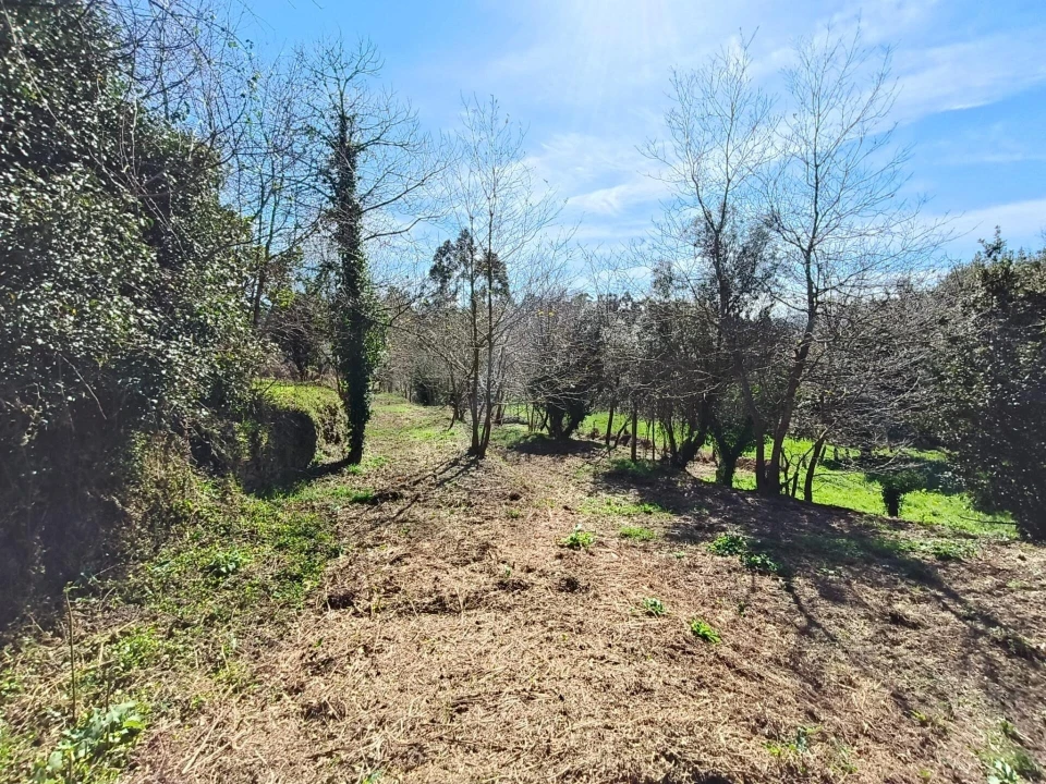 Quinta T3 para Venda em Covas Foto 15