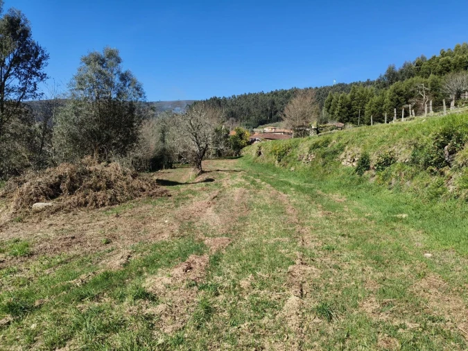 Quinta T3 para Venda em Covas Foto 16