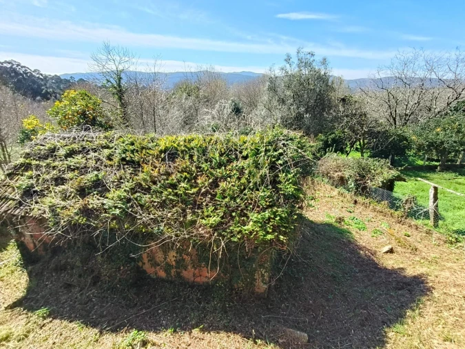 Quinta T3 para Venda em Covas Foto 9