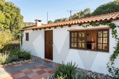 Quinta T1 para Venda em Quinta do Anjo
