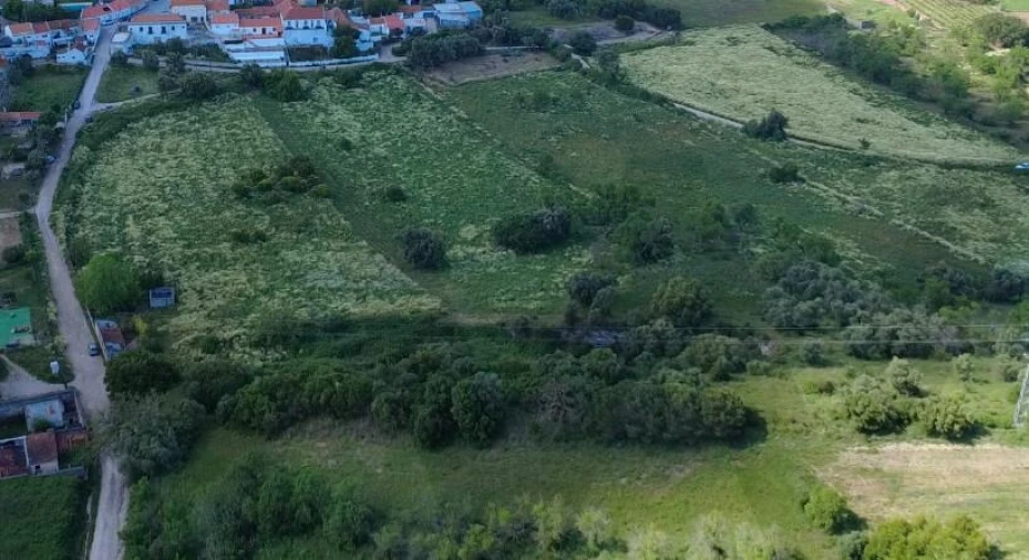 Quinta T1 para Venda em Quinta do Anjo Foto 2
