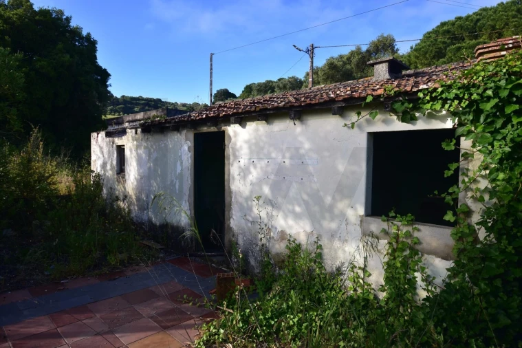 Quinta T1 para Venda em Quinta do Anjo Foto 7