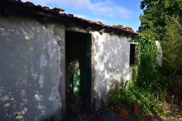 Quinta T1 para Venda em Quinta do Anjo Foto 9