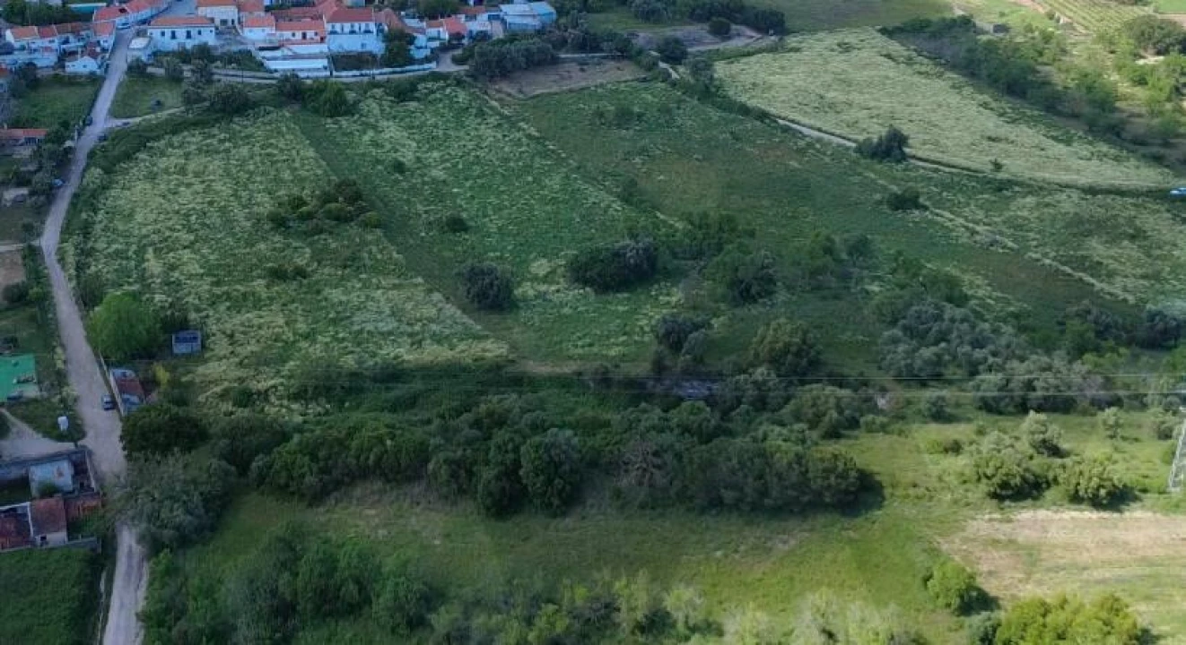 Quinta T1 para Venda em Quinta do Anjo Foto 2
