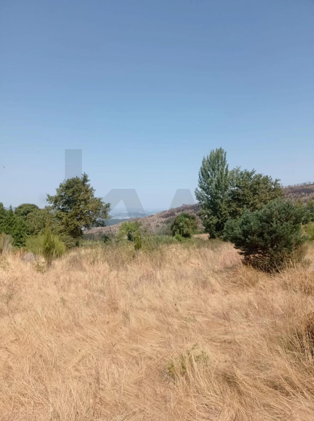 Quinta T3 para Venda em Fornelos Foto 6