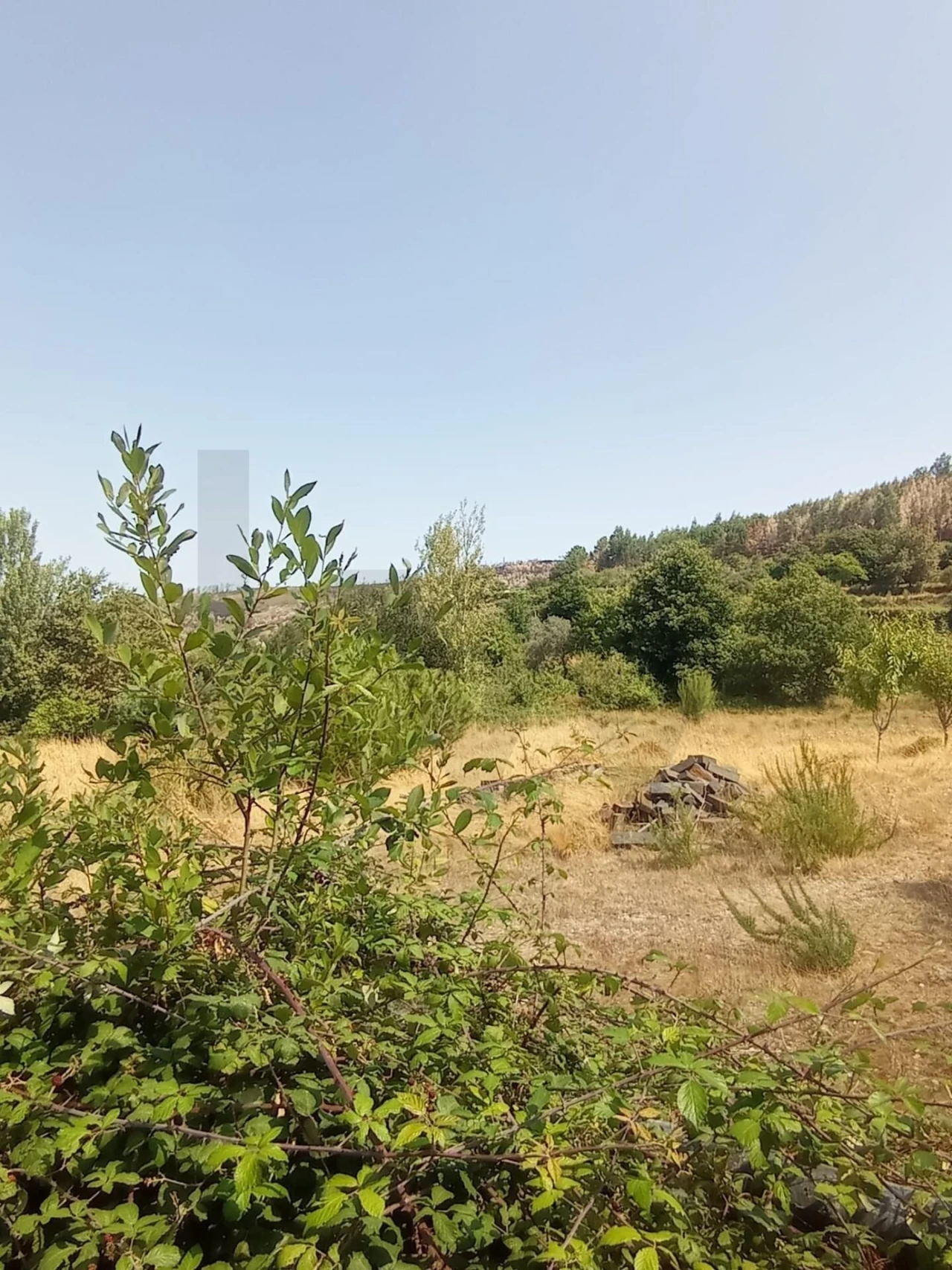 Quinta T3 para Venda em Fornelos Foto 9