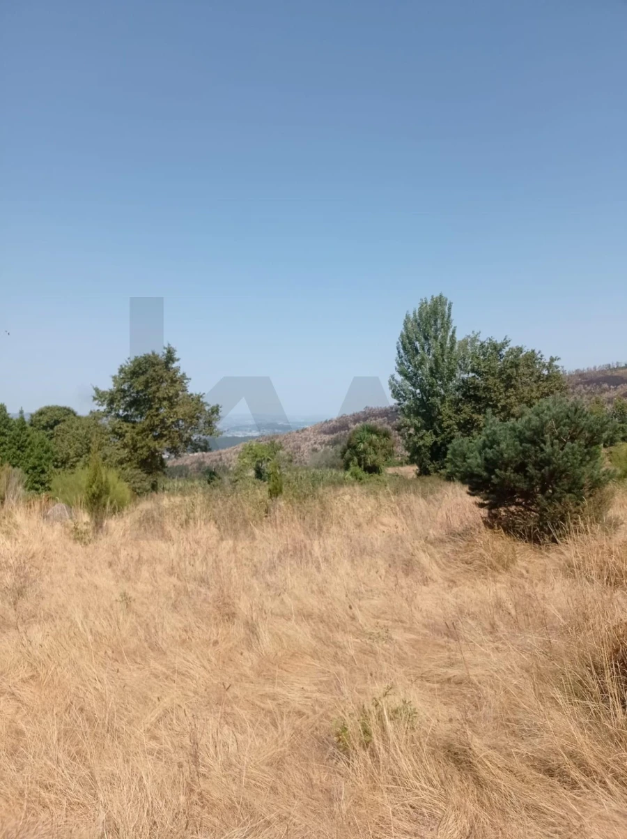 Quinta T3 para Venda em Fornelos Foto 6