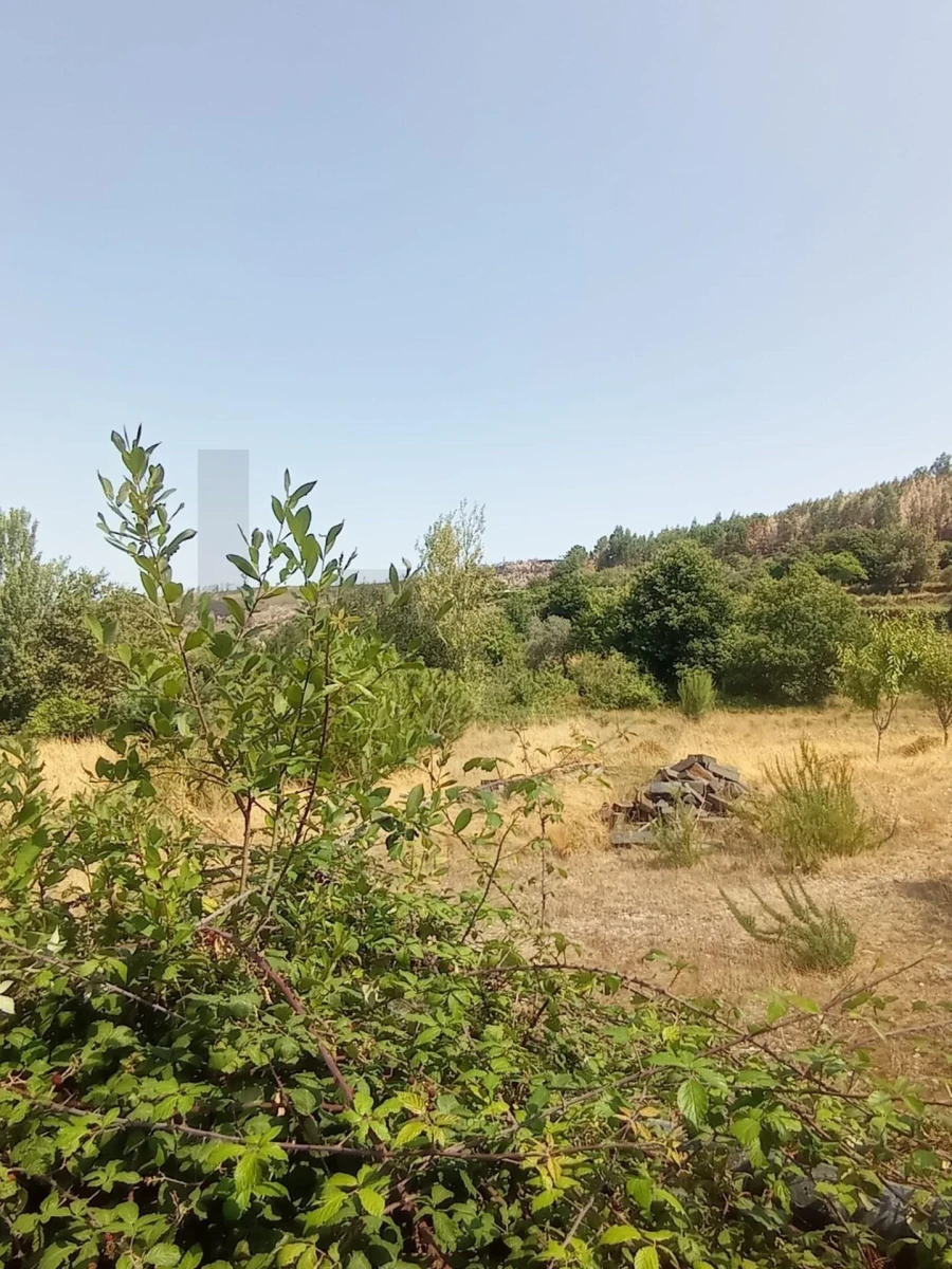 Quinta T3 para Venda em Fornelos Foto 9