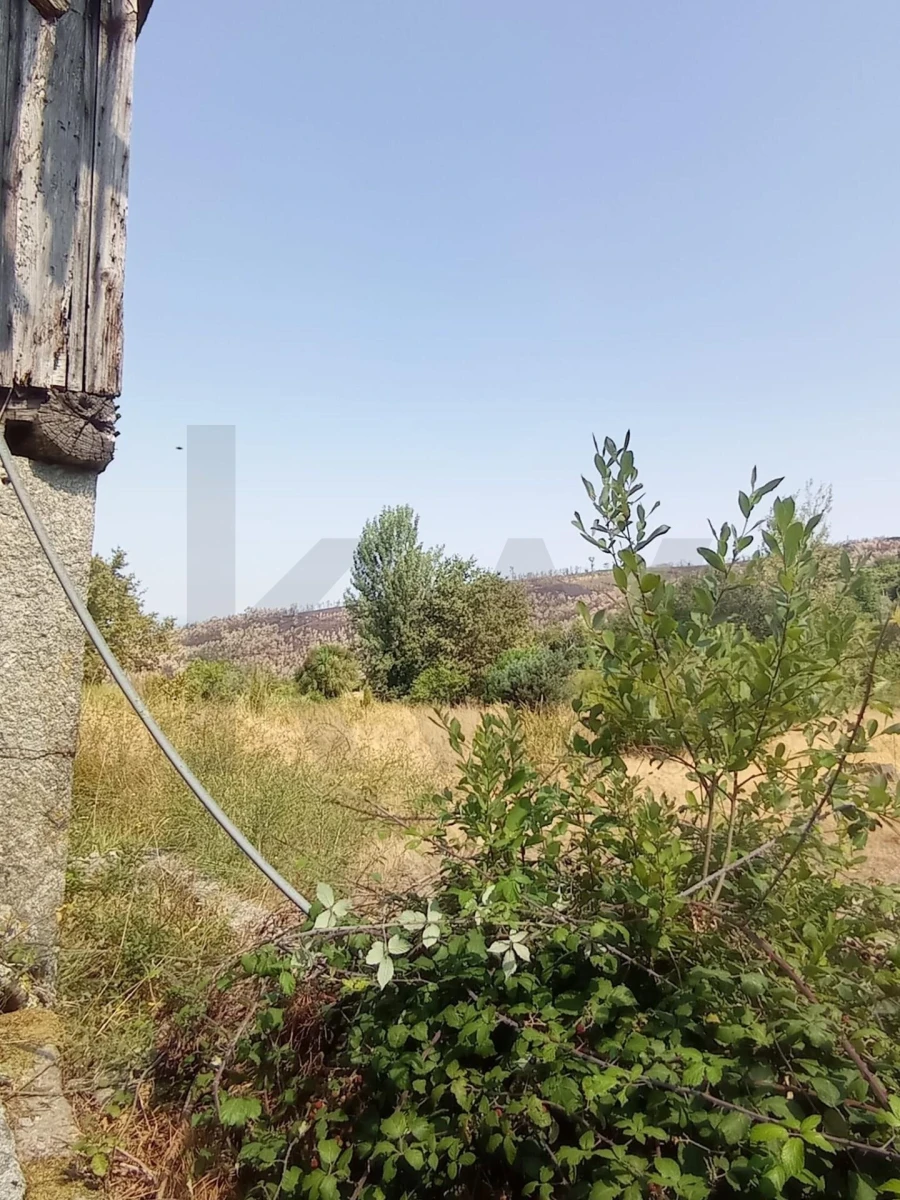 Quinta T3 para Venda em Fornelos Foto 7