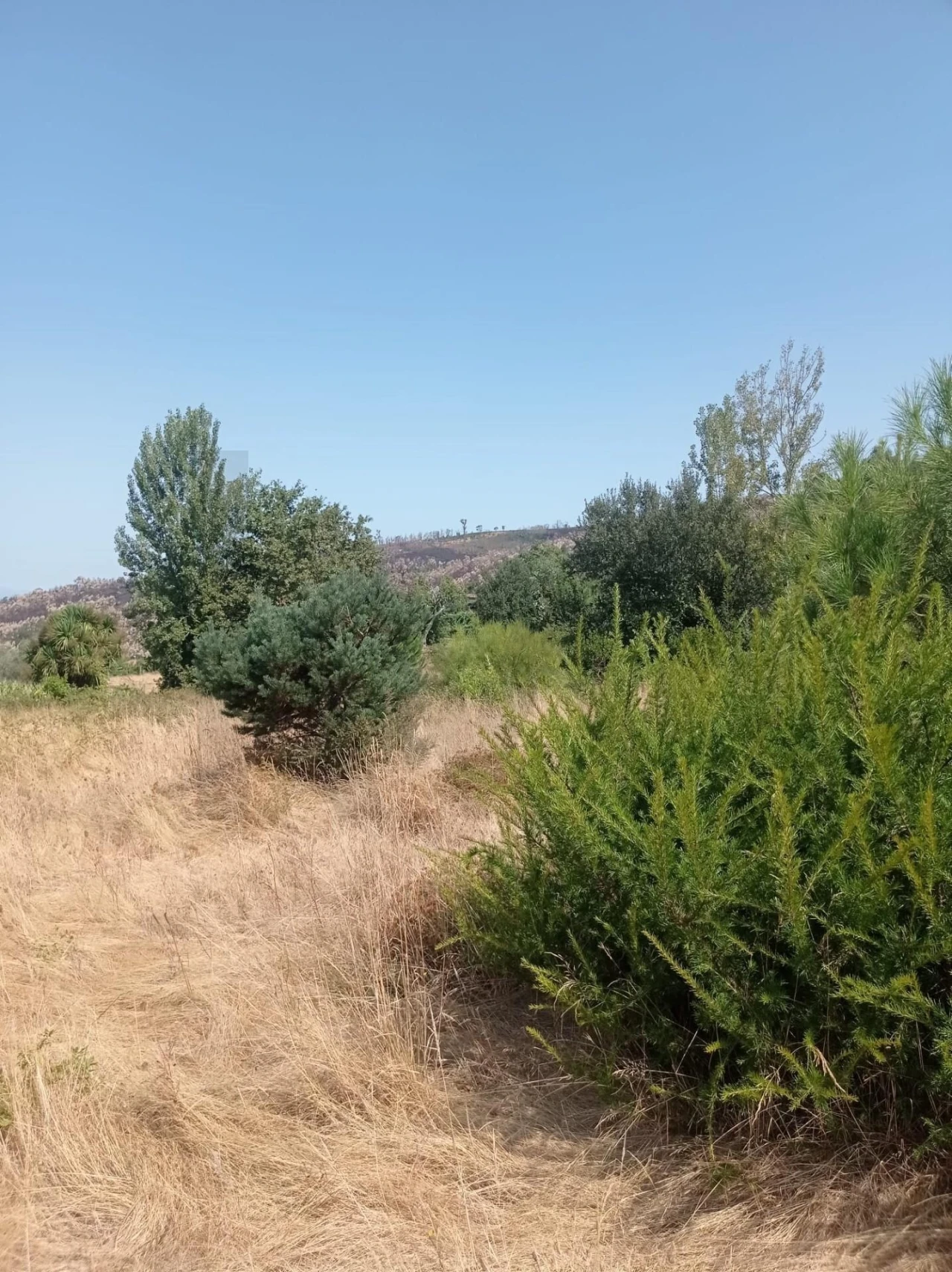 Quinta T3 para Venda em Fornelos Foto 5