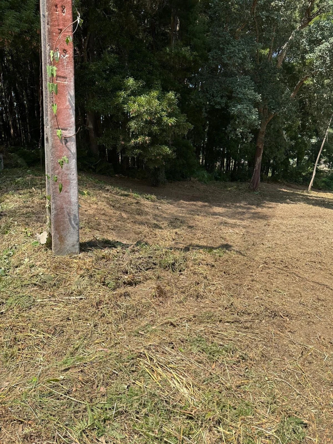 Terreno para Venda em Anta e Guetim Foto 33