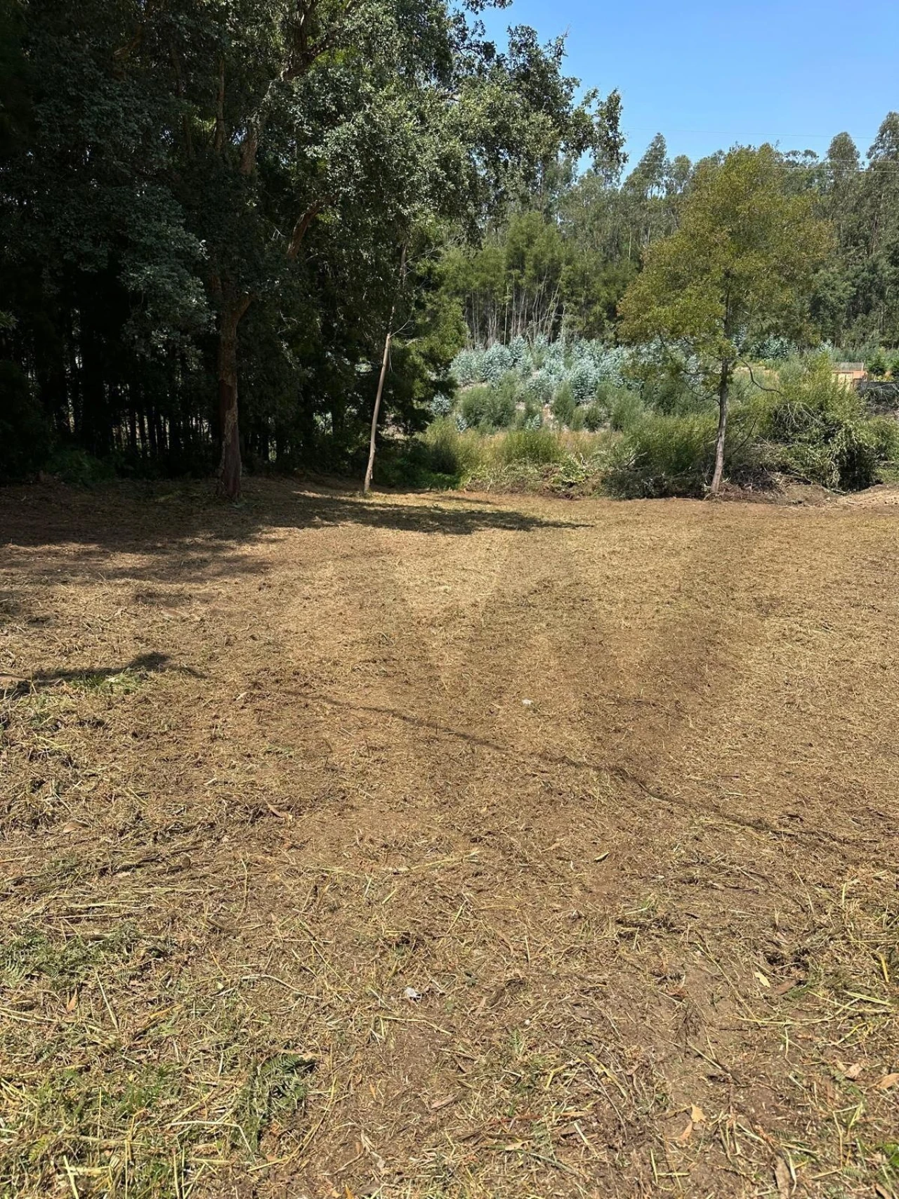 Terreno para Venda em Anta e Guetim Foto 31