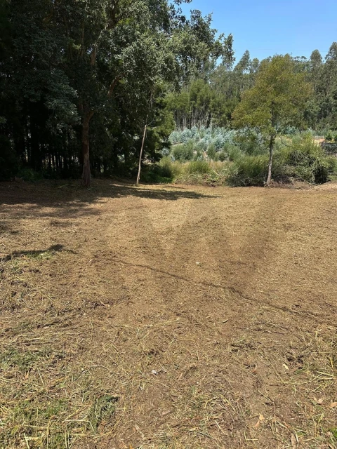 Terreno para Venda em Anta e Guetim