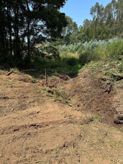 Terreno para Venda em Anta e Guetim