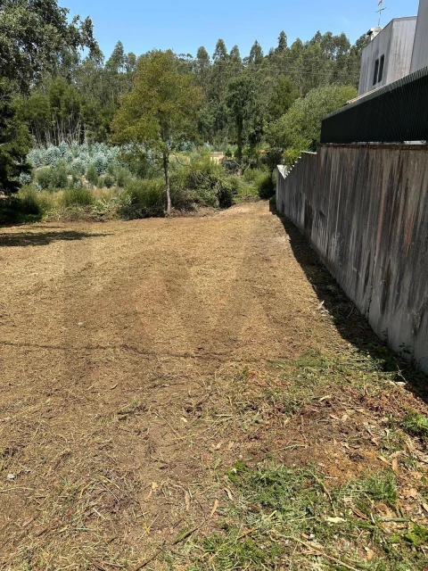 Terreno para Venda em Anta e Guetim